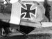 Albatros D.V 2359/17. Detail tailplane (AL0128-27)